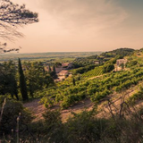 2020 Gigondas Aux Lieux Dits, Côtes du Rhône Villages, Bio